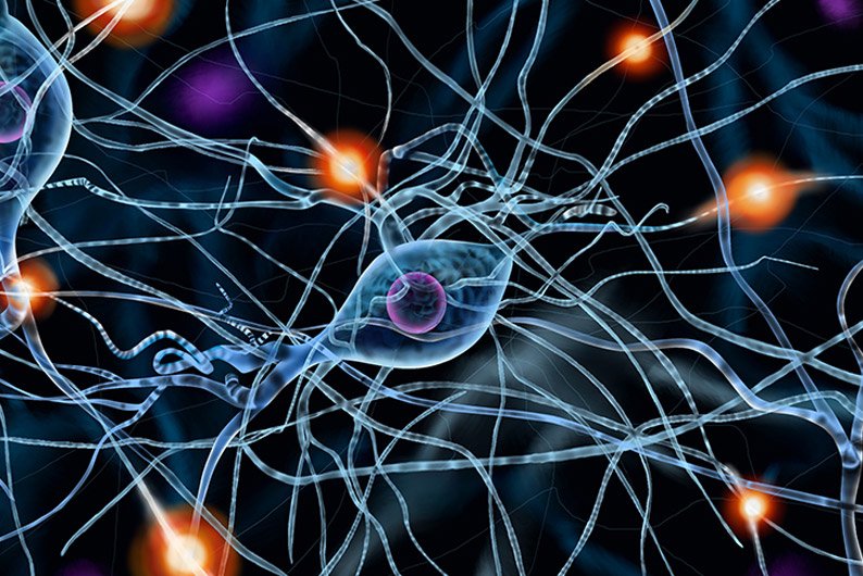 Supporting and Understanding the Body's Electrical System