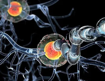 Up Close CGI Image of Cells and Neurons