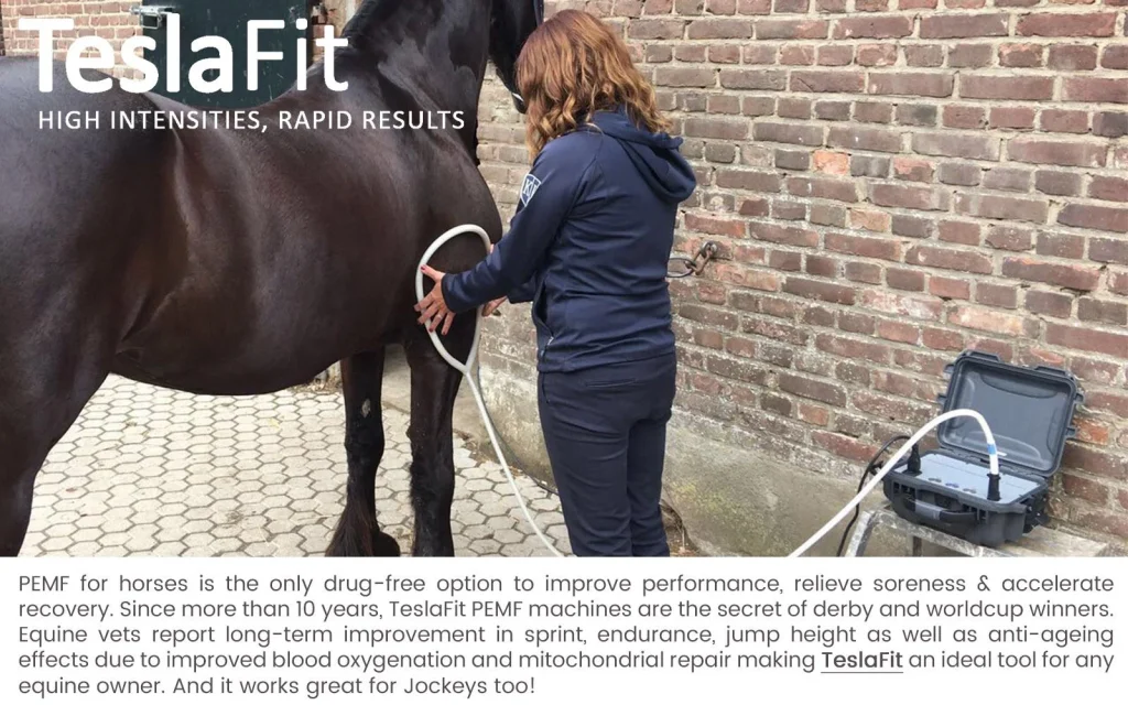 Woman uses PEMF treatment loop coil on horse